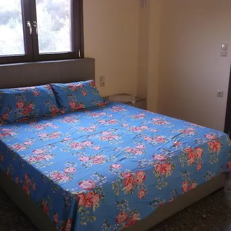 Alex's House 卢特拉艾季普苏
