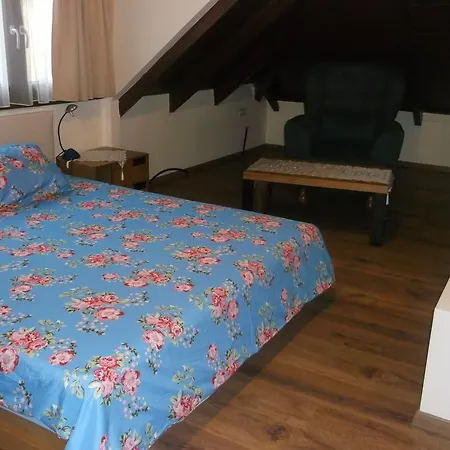 Alex's House
