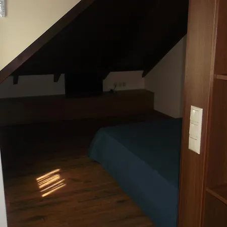 Alex's House 卢特拉艾季普苏